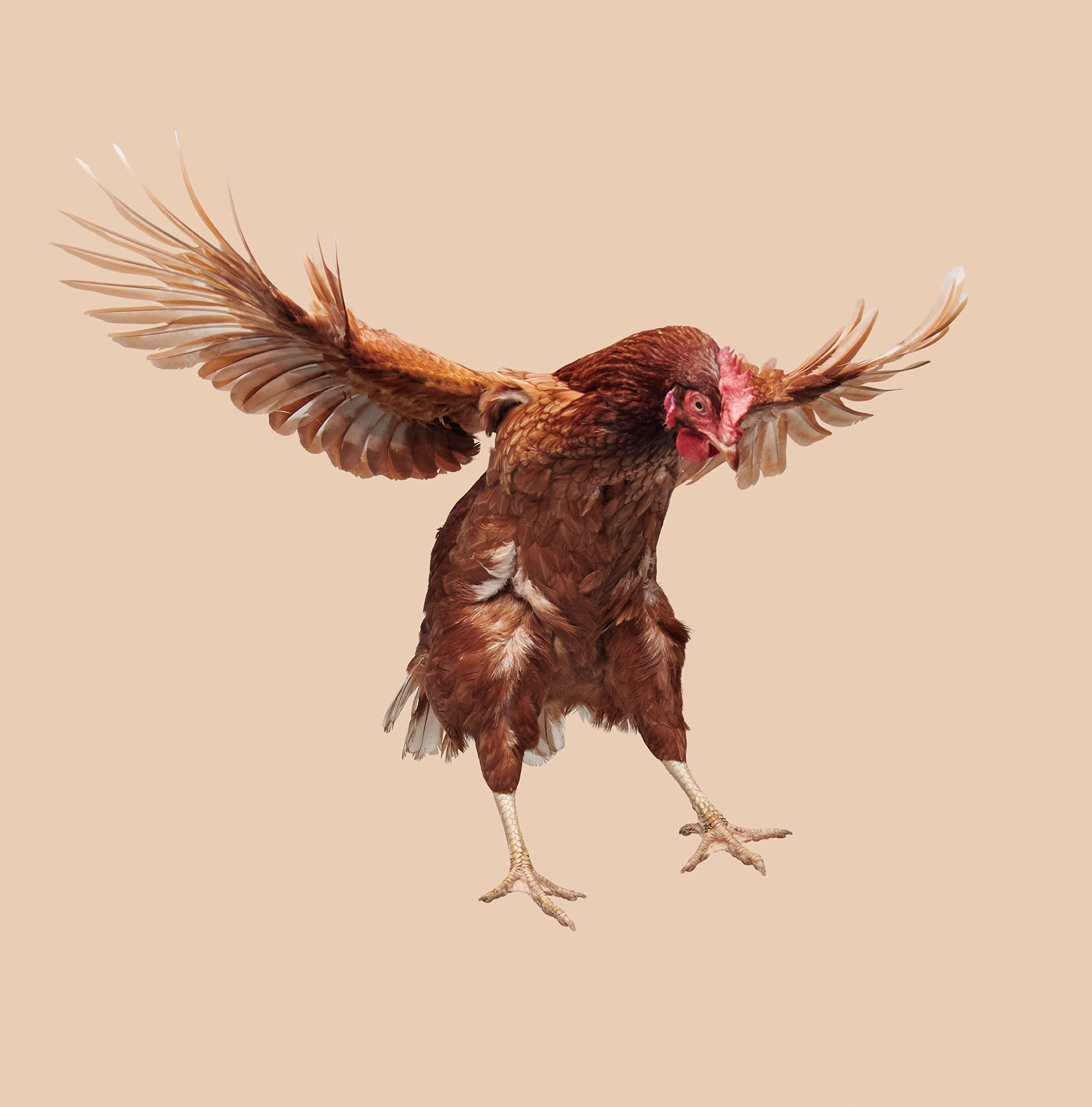 01-vitalfarms