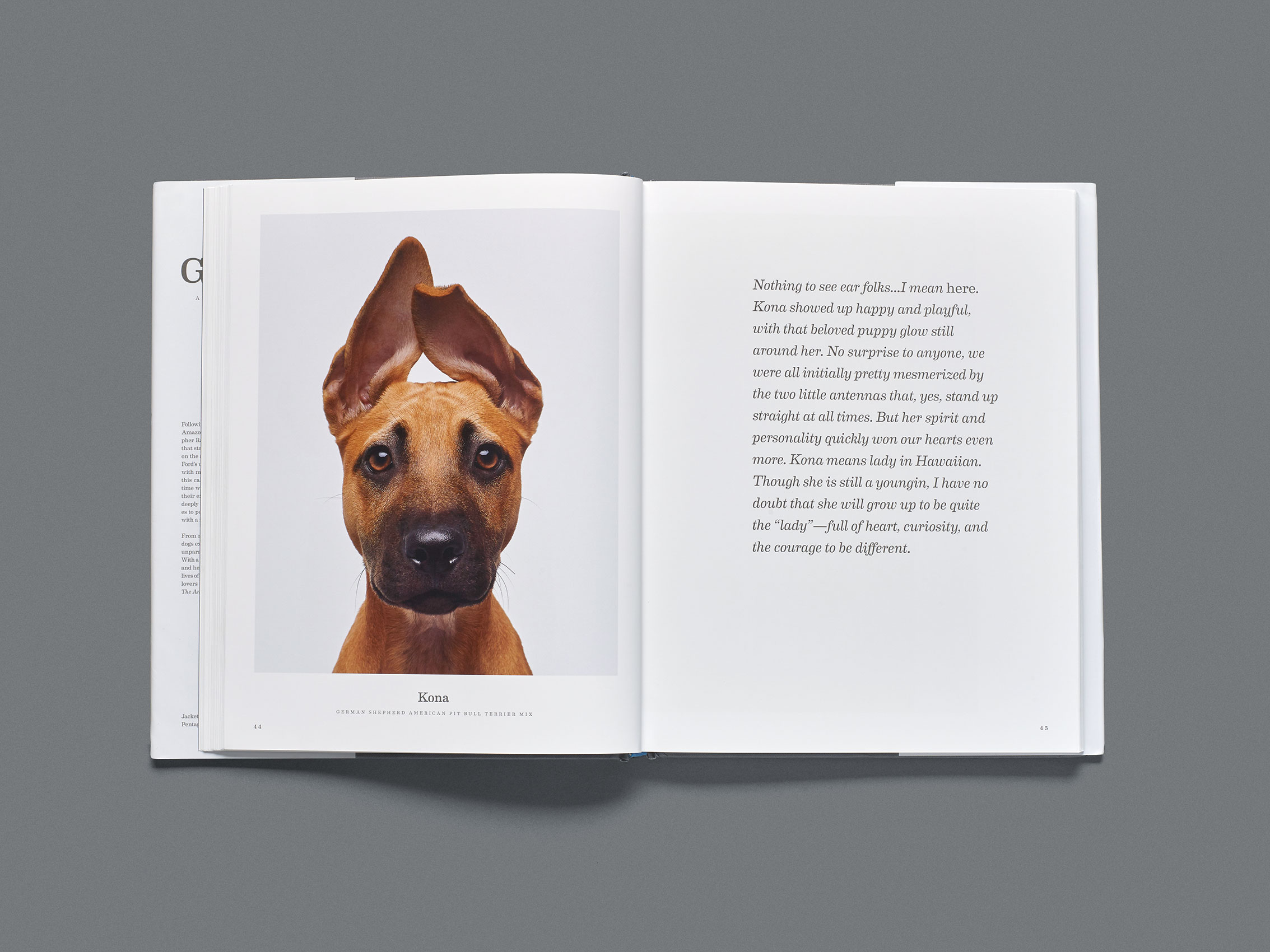 RF_GoodDog_0418